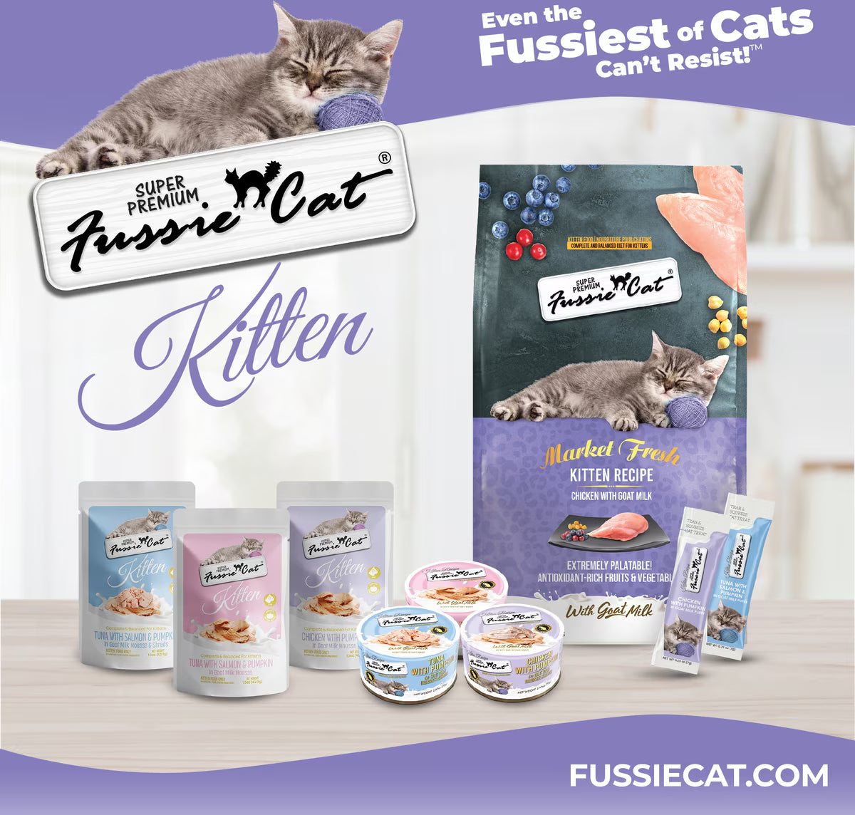 Fussie Cat Mousse Chicken Flavored with Pumpkin in Goat Milk Wet Kitten Food & Shreds, 2.47-oz can