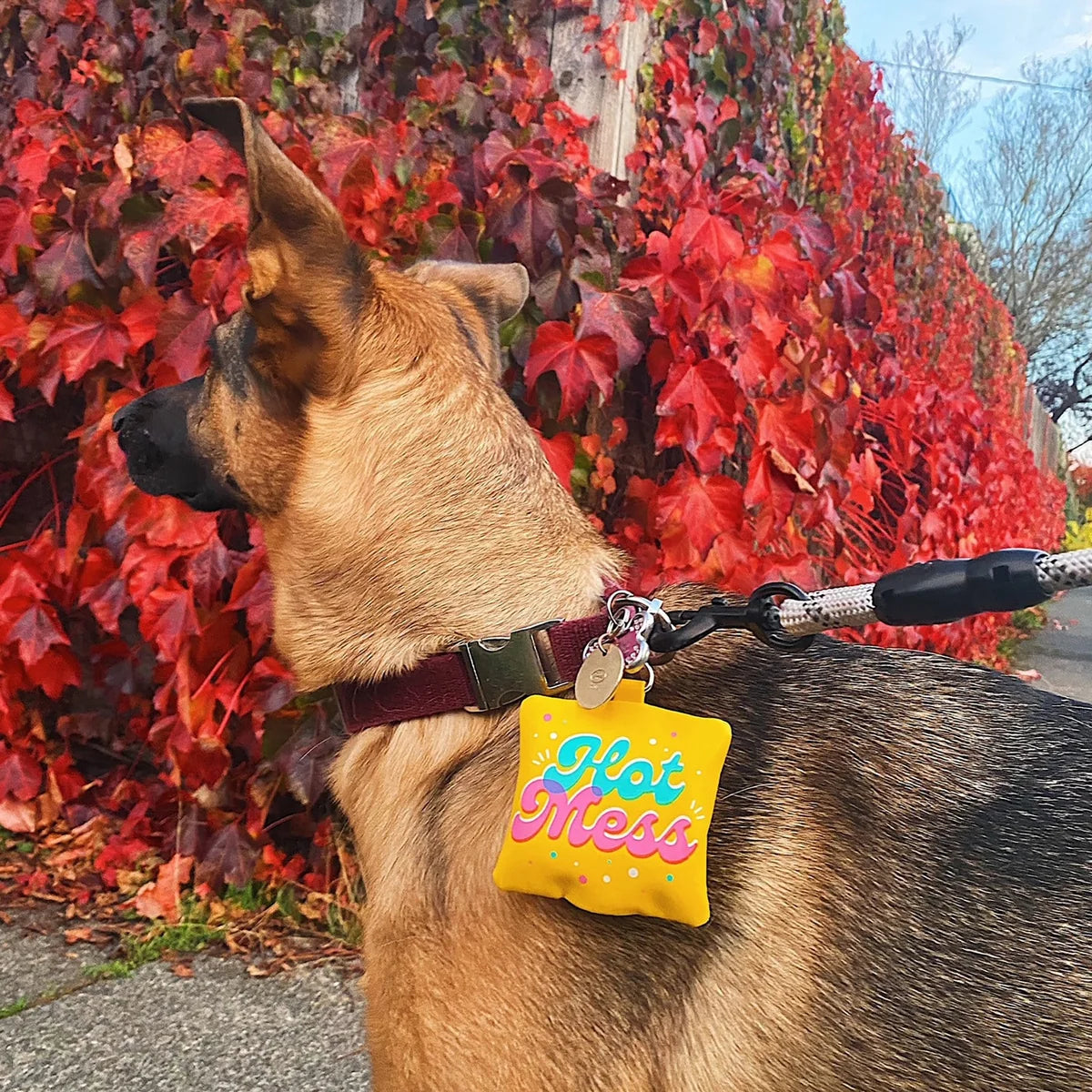 Hot Mess Poop Bag Holder