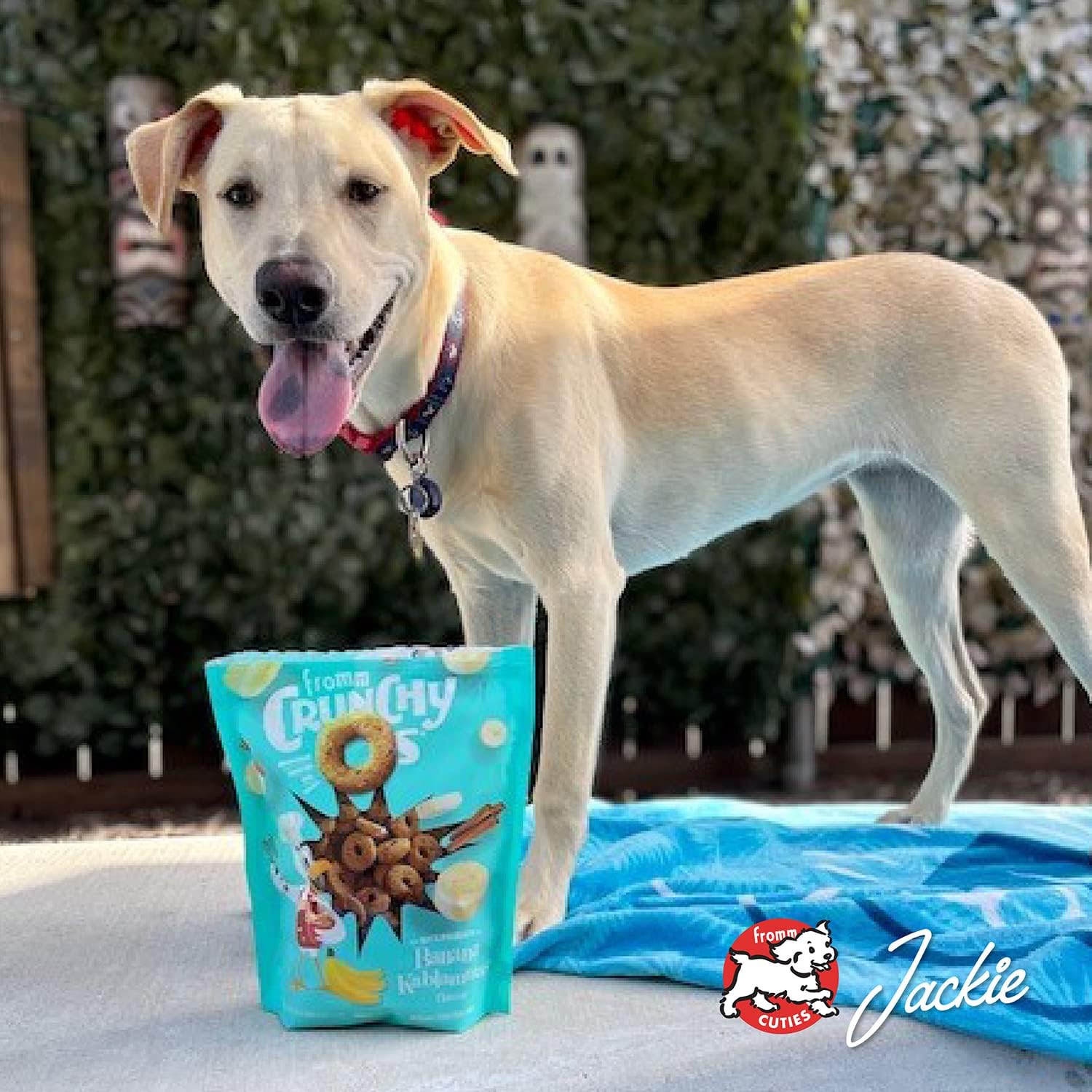 Fromm Dog Crunchy O'S Banana Kablammas 6oz