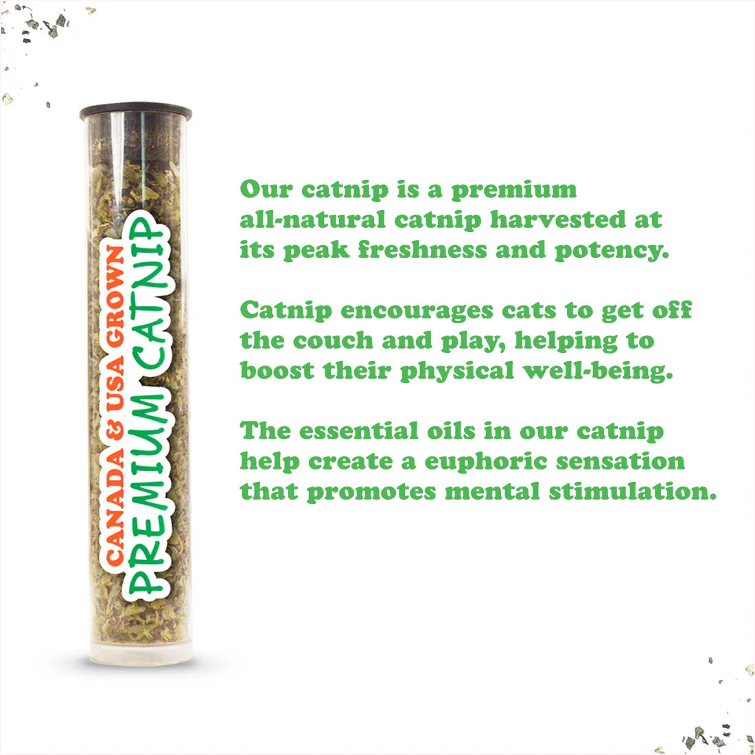 Get Sprung Mushroom Refillable Cat Toy