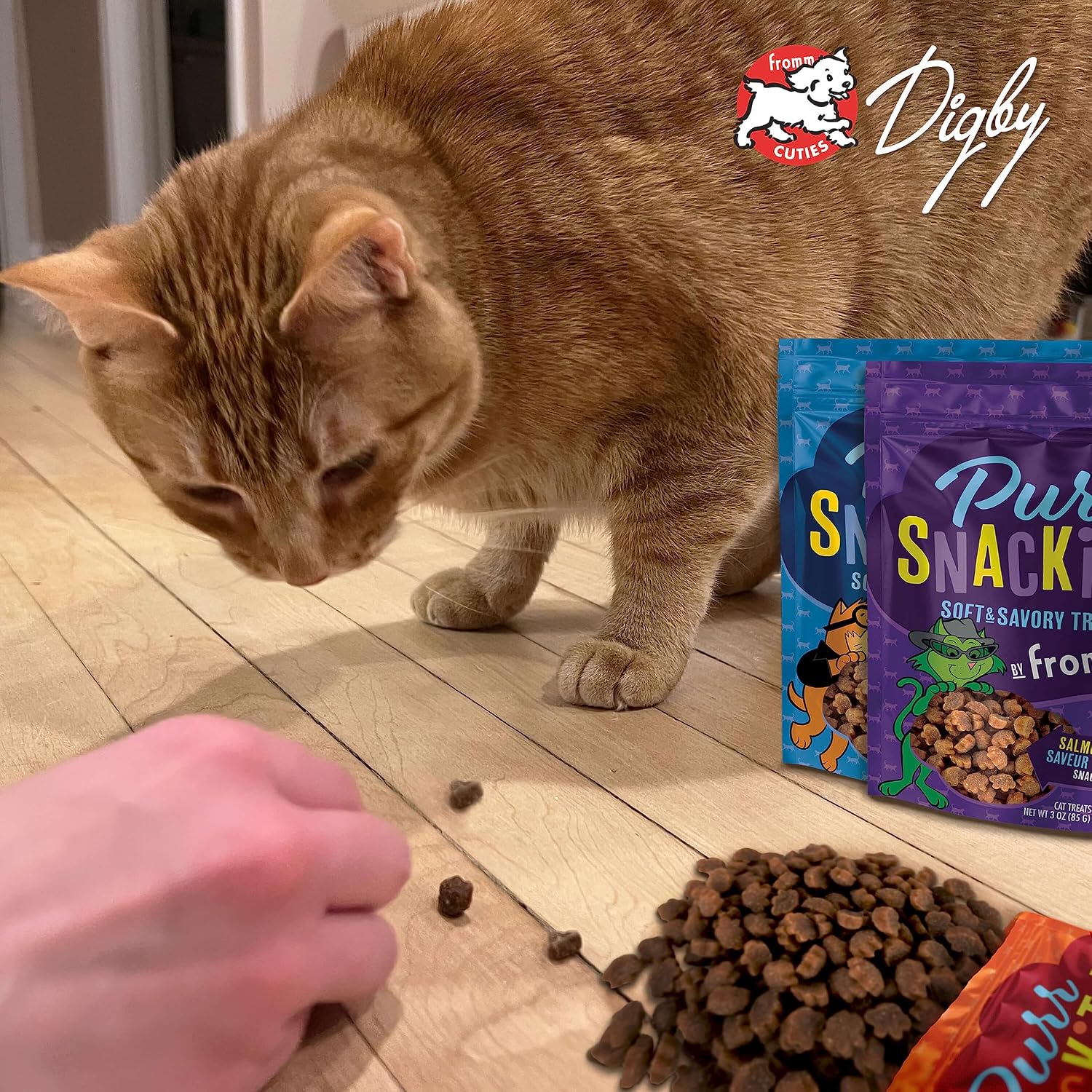 PurrSnackitty Liver Flavor Snackitties Cat Treats 3oz