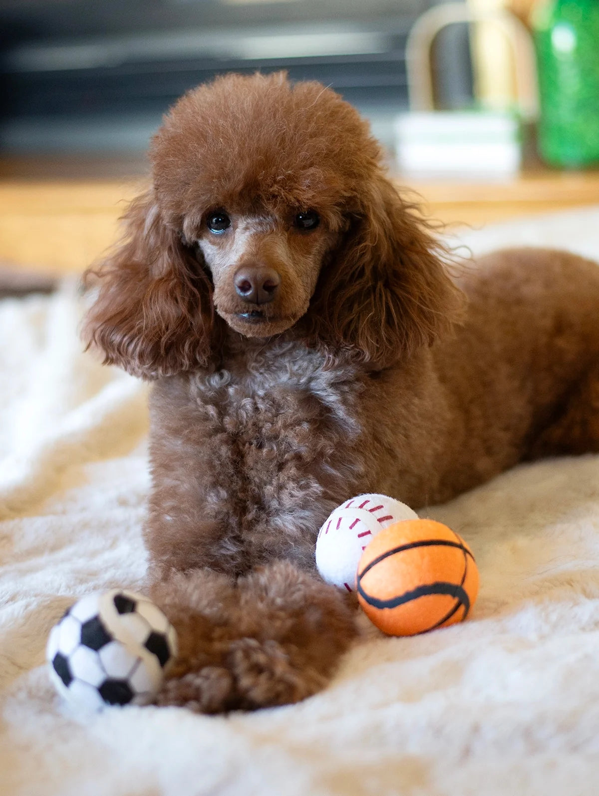 ThoozyPet Tennis Ball Assorted (Baseball / Basketball / Soccer) Fetch Dog Toy 2.5"
