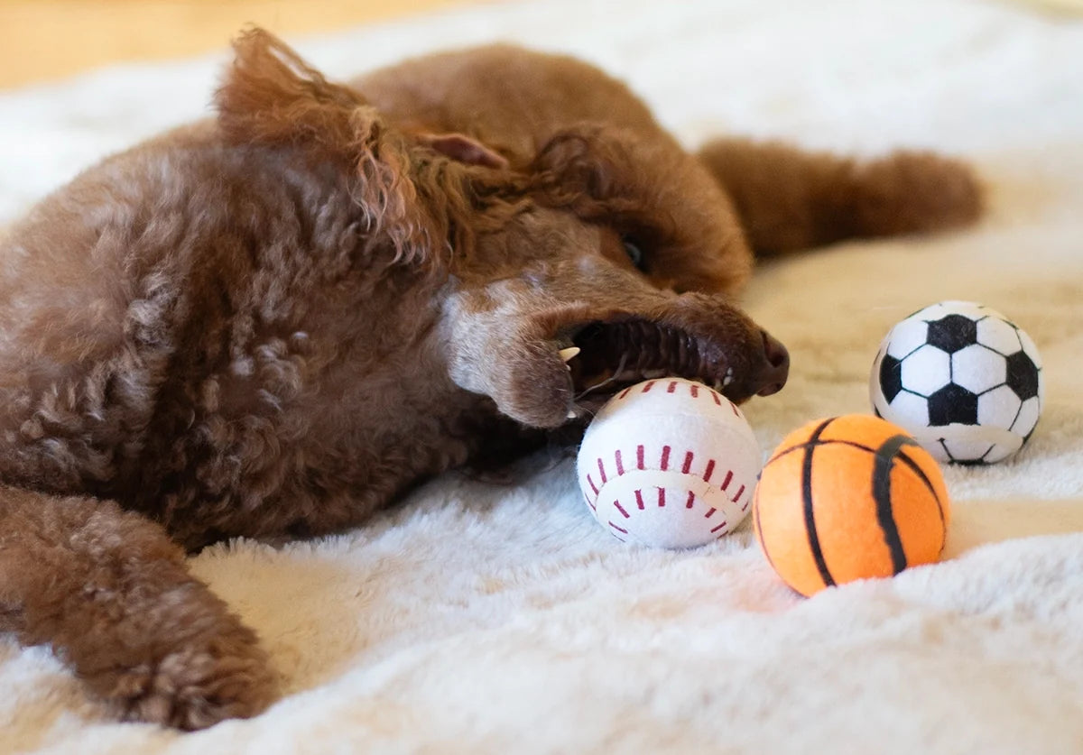 ThoozyPet Tennis Ball Assorted (Baseball / Basketball / Soccer) Fetch Dog Toy 2.5"