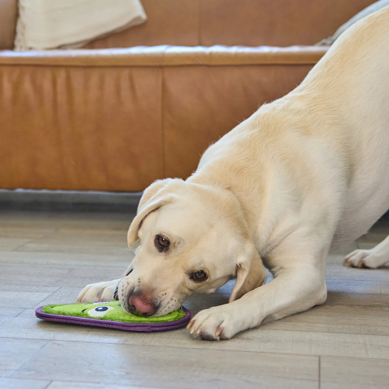 Tough Skinz Durable Avocado Dog Toy - Medium