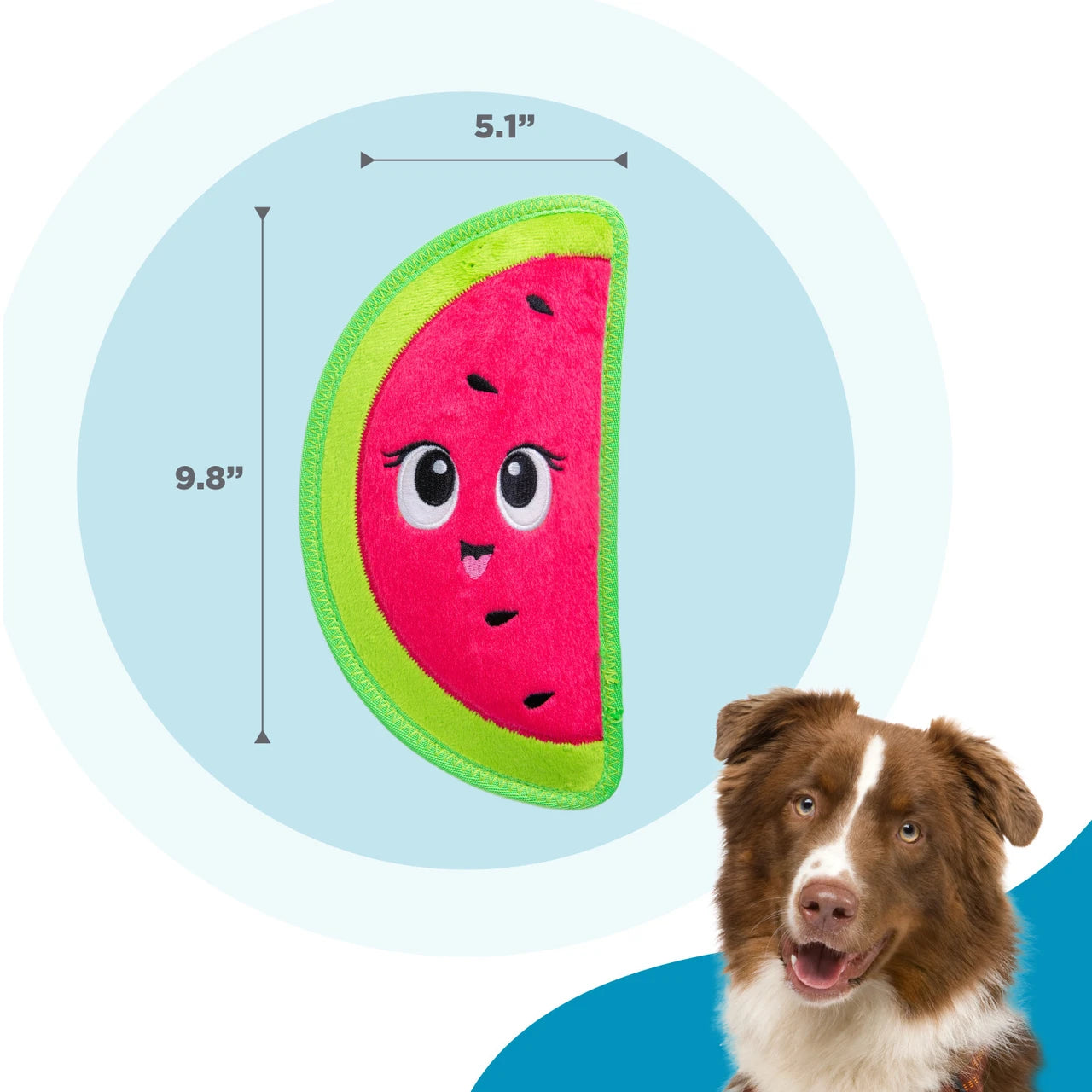 Tough Skinz Durable Watermelon Dog Toy - Medium