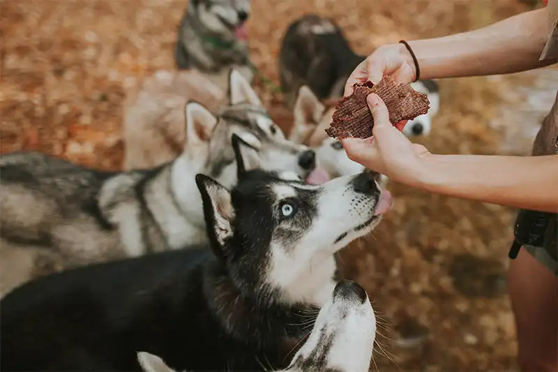 Farm Hounds Pork Jerky 3.5oz