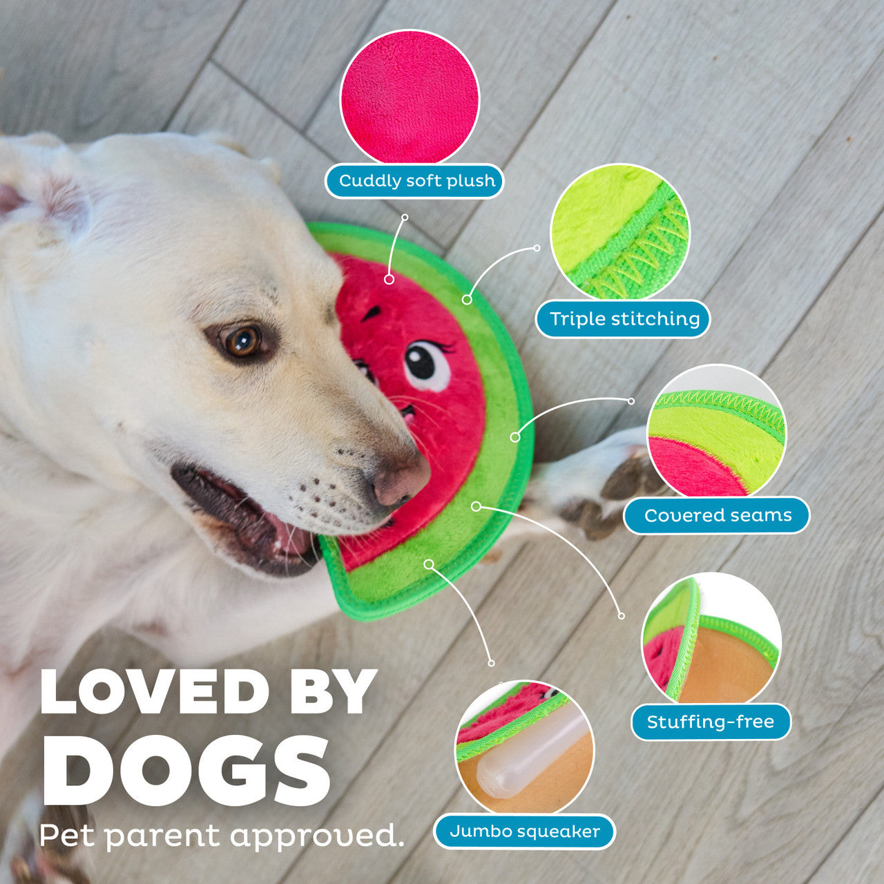 Tough Skinz Durable Watermelon Dog Toy - Medium