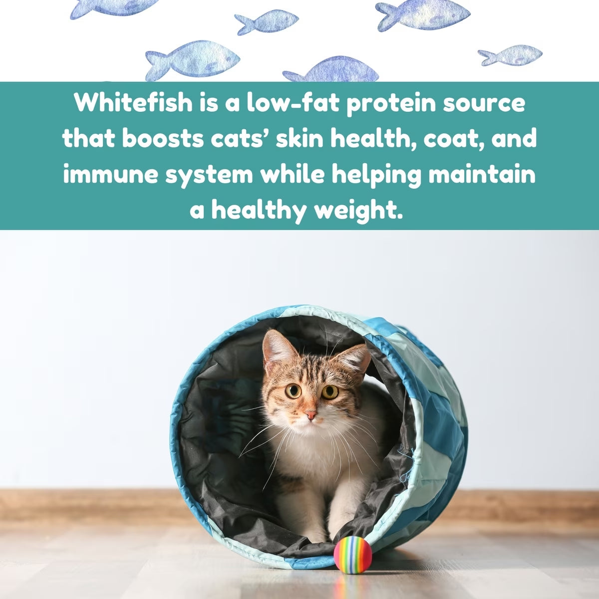 Surf Kitty Kitty Coated White Fish Grain-Free Freeze-Dried Cat Treats, 0.6-oz bag