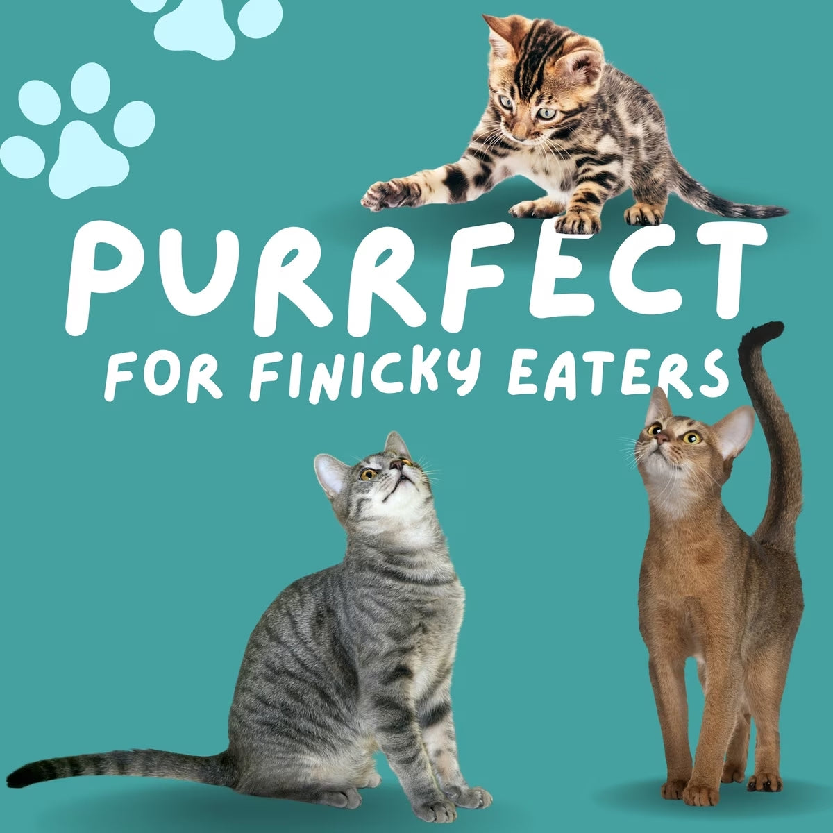Surf Kitty Kitty Coated White Fish Grain-Free Freeze-Dried Cat Treats, 0.6-oz bag
