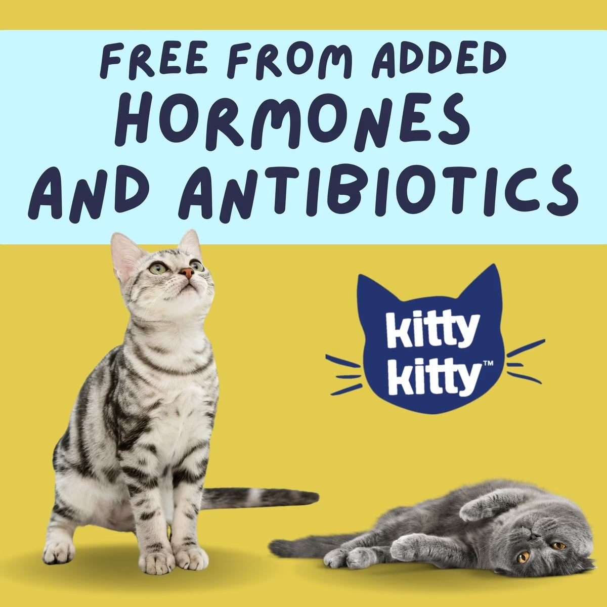 Surf Kitty Kitty Coated White Fish Grain-Free Freeze-Dried Cat Treats, 0.6-oz bag