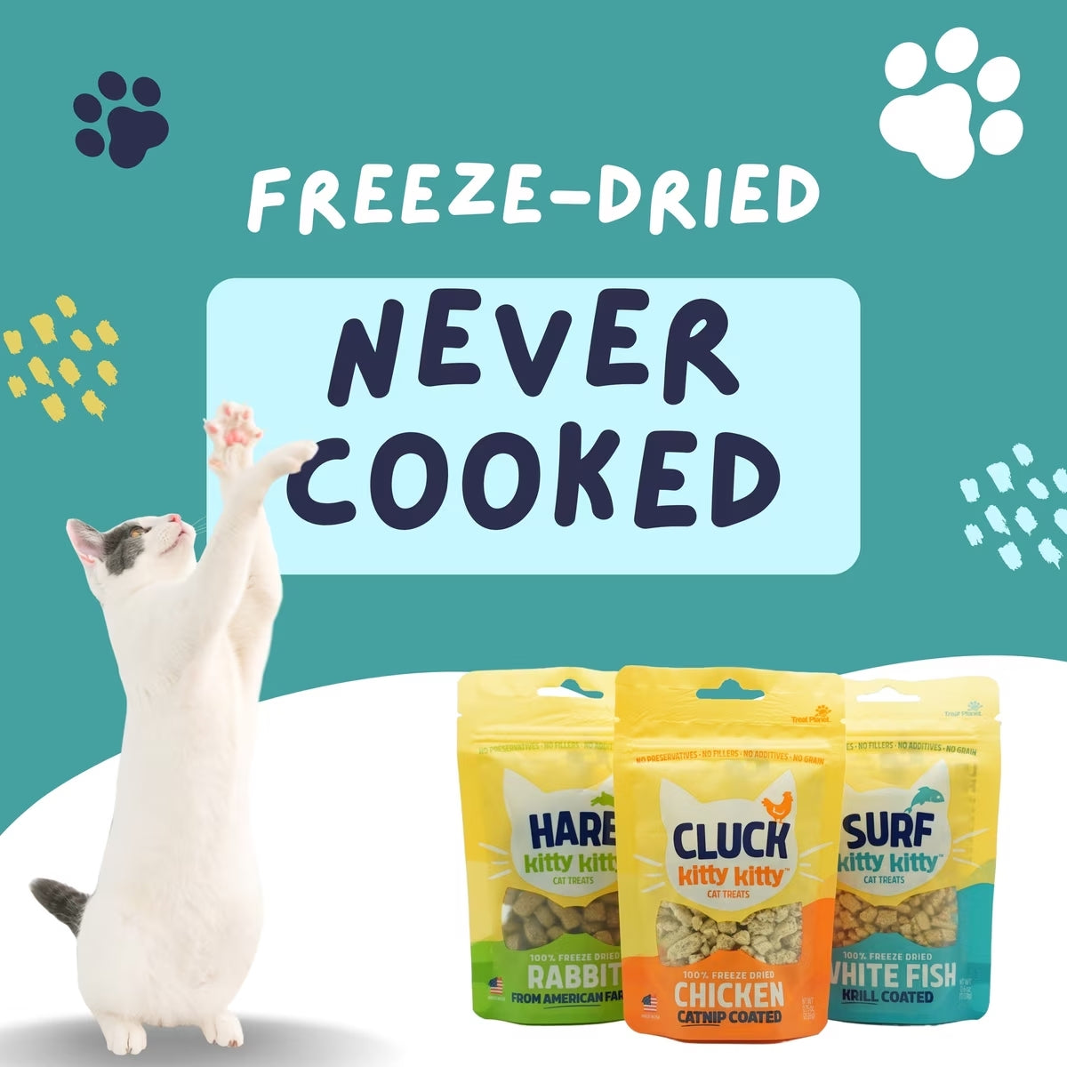 Surf Kitty Kitty Coated White Fish Grain-Free Freeze-Dried Cat Treats, 0.6-oz bag
