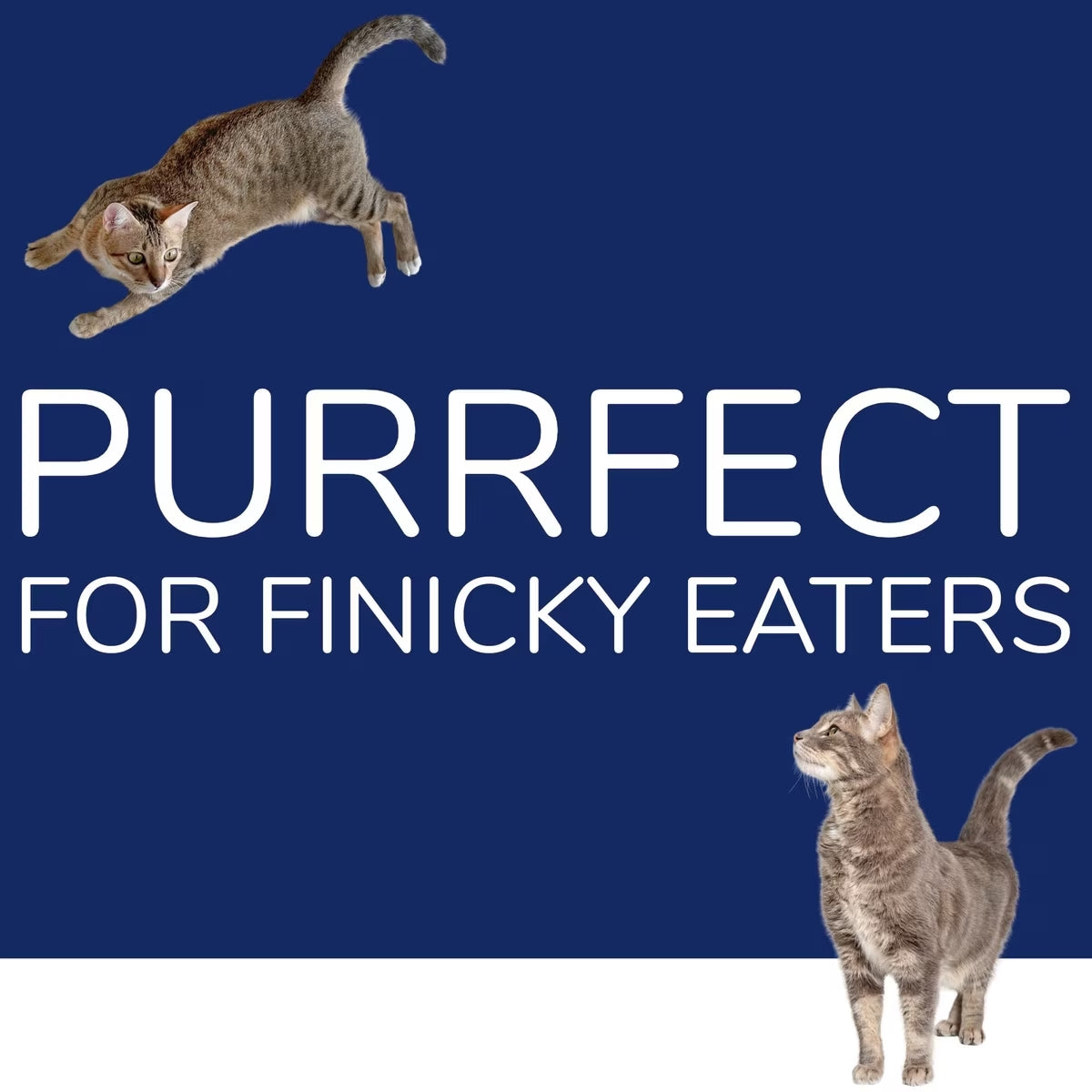 Hare Kitty Kitty Grain-Free Rabbit Freeze-Dried Cat Treats, 0.9-oz bag