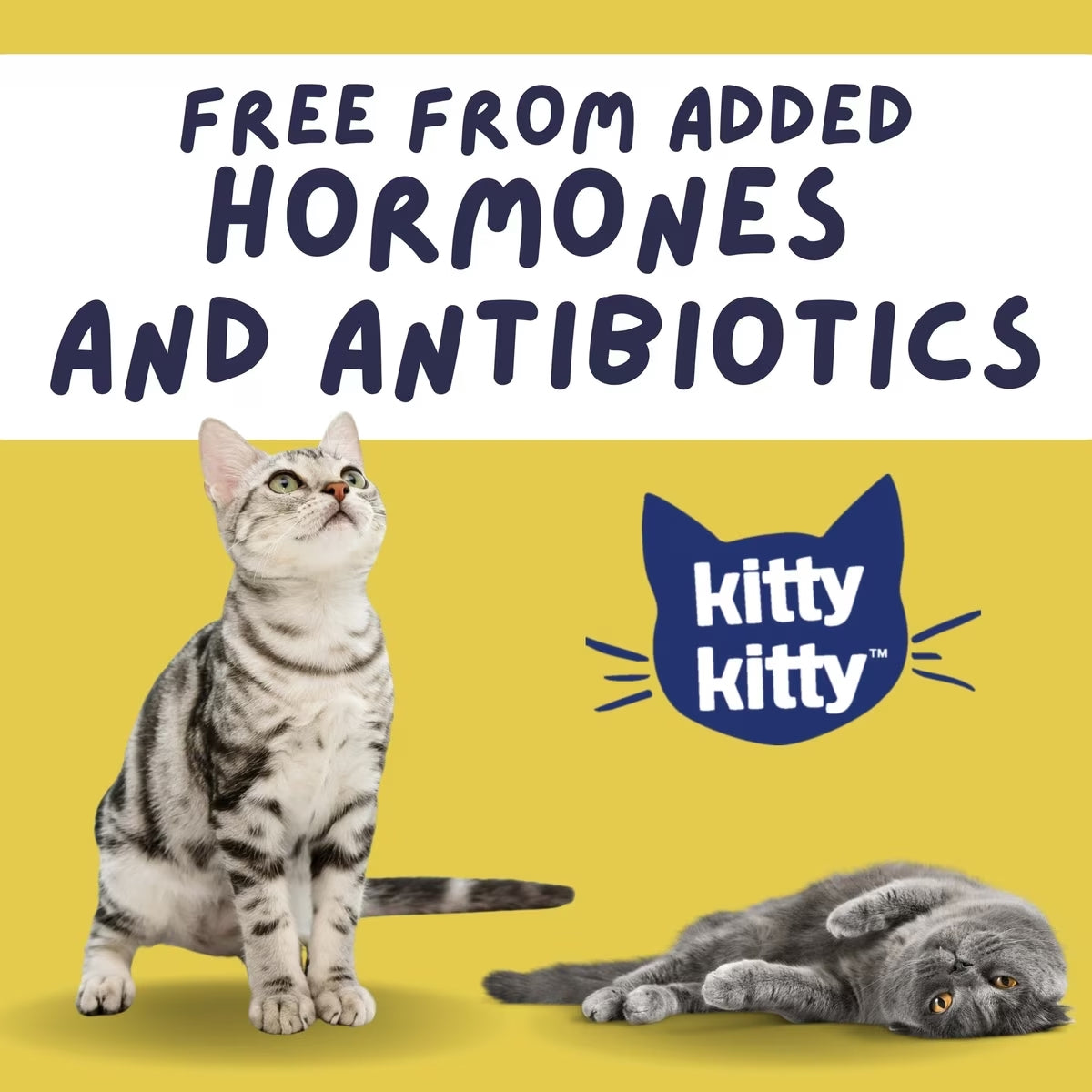 Cluck Kitty Kitty Catnip Coated Chicken Grain-Free Freeze-Dried Cat Treats, 0.75-oz bag
