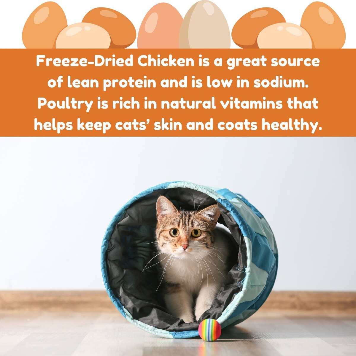 Cluck Kitty Kitty Catnip Coated Chicken Grain-Free Freeze-Dried Cat Treats, 0.75-oz bag