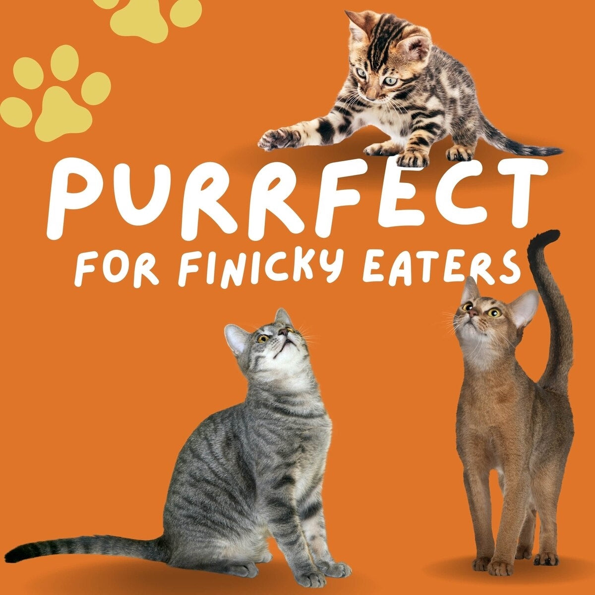 Cluck Kitty Kitty Catnip Coated Chicken Grain-Free Freeze-Dried Cat Treats, 0.75-oz bag