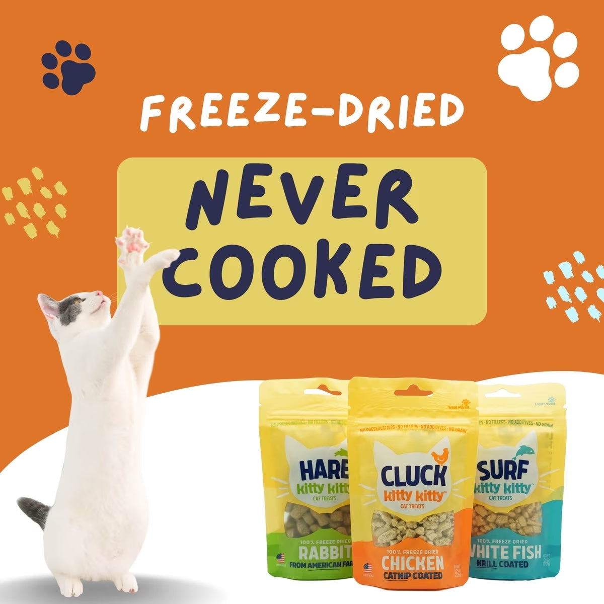 Cluck Kitty Kitty Catnip Coated Chicken Grain-Free Freeze-Dried Cat Treats, 0.75-oz bag