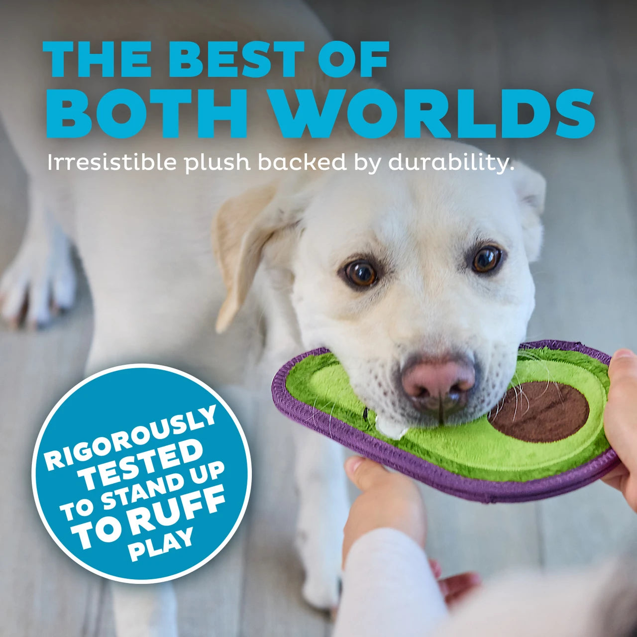 Tough Skinz Durable Avocado Dog Toy - Medium