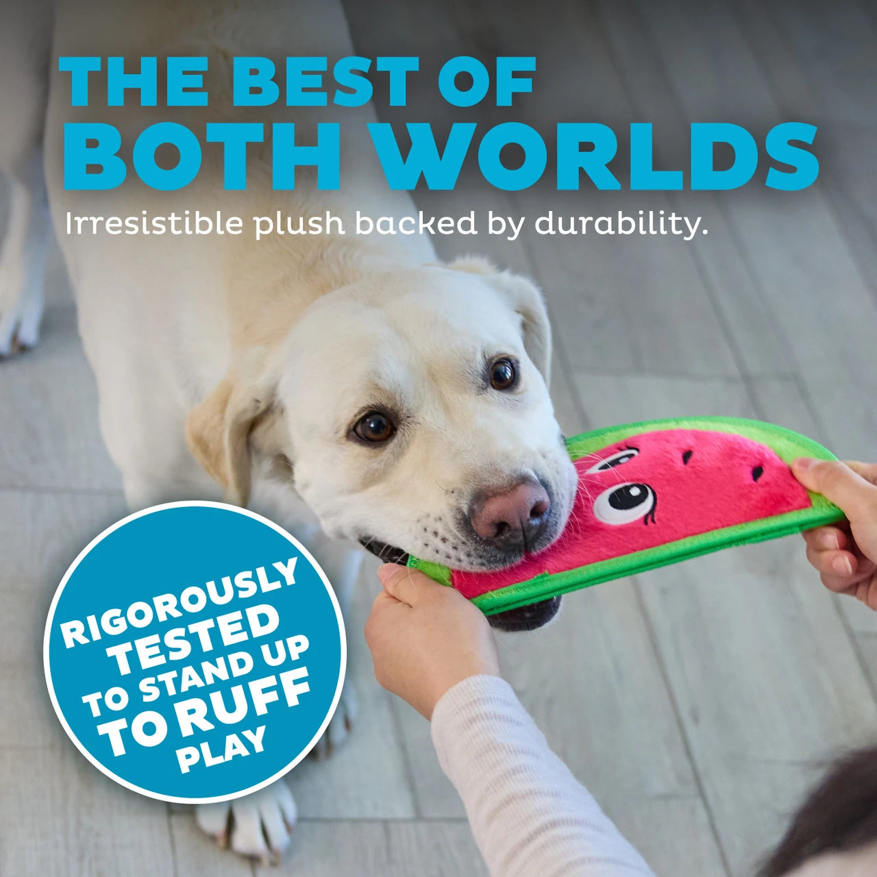 Tough Skinz Durable Watermelon Dog Toy - Medium