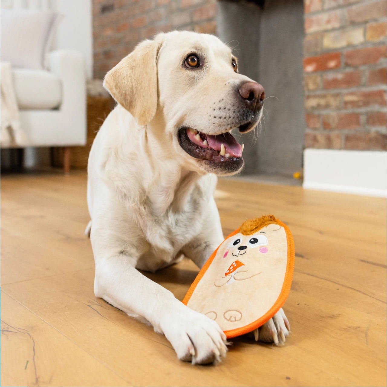 Tough Skinz Durable Hedgie Dog Toy - Medium