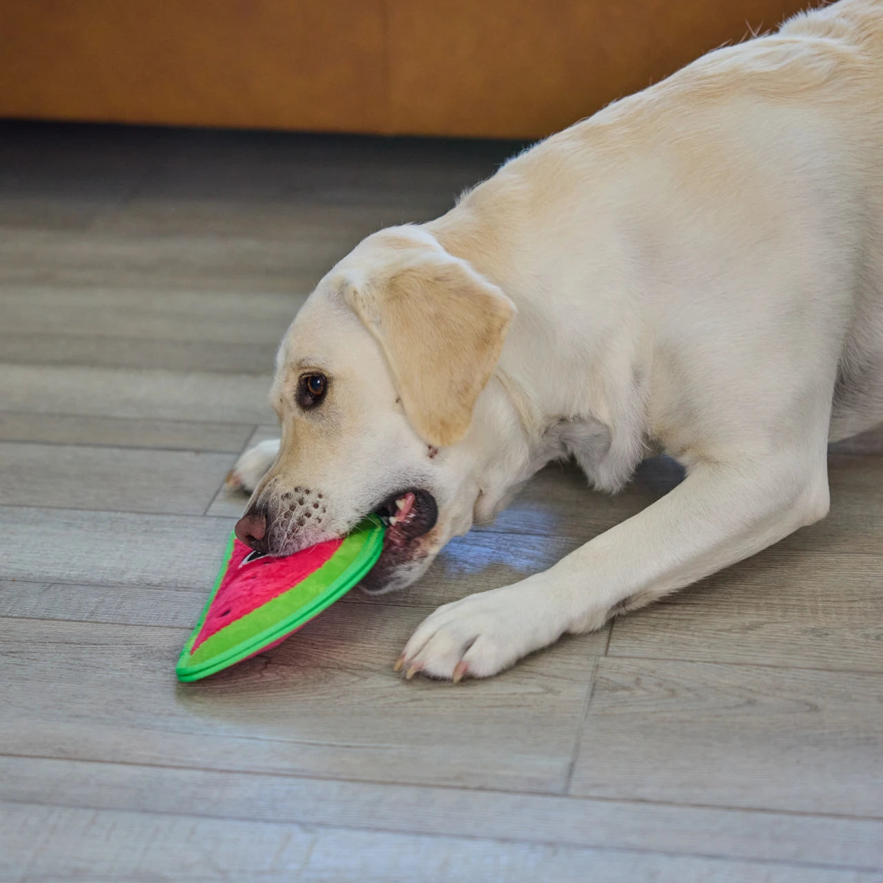 Tough Skinz Durable Watermelon Dog Toy - Medium