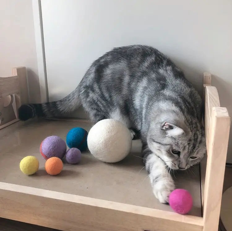 Pelota de juguete para mascotas 100 % lana (6 cm)