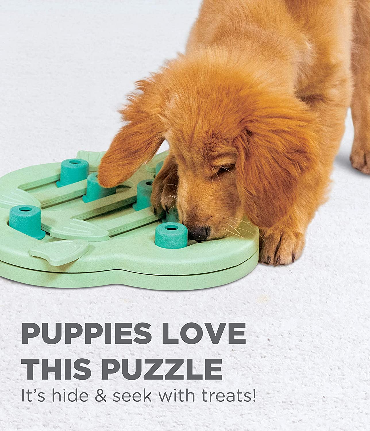 Outward Hound Puppy Hide N' Slide