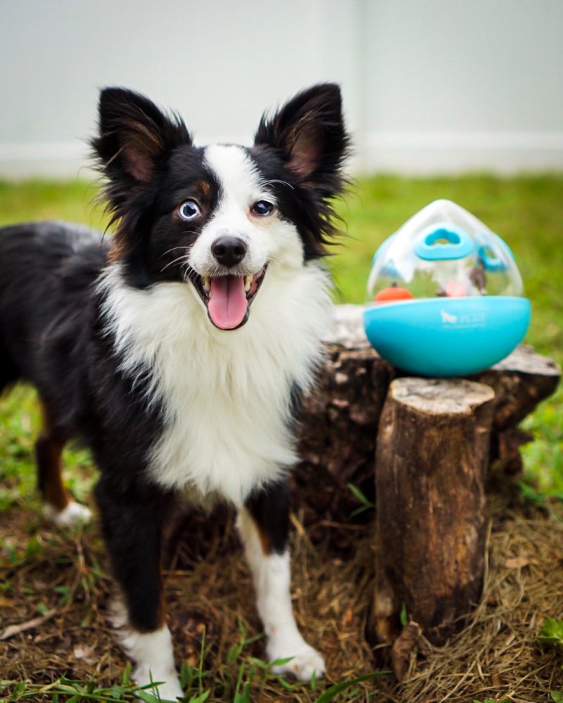 P.L.A.Y. Wobble Ball Toy 2.0
